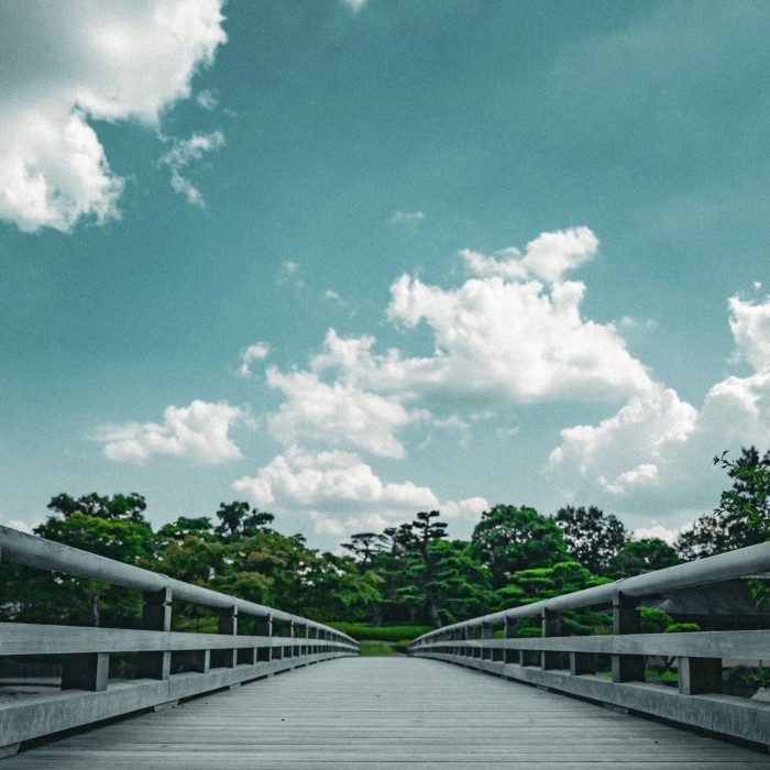 Advisor explaining estate planning concepts to a client